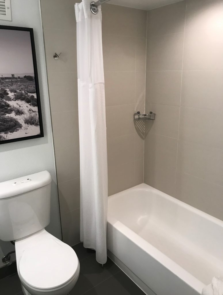 a bathroom with a toilet and bathtub