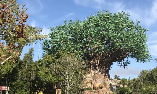 Disney’s Animal Kingdom: What I saw during my last visit (photolog)
