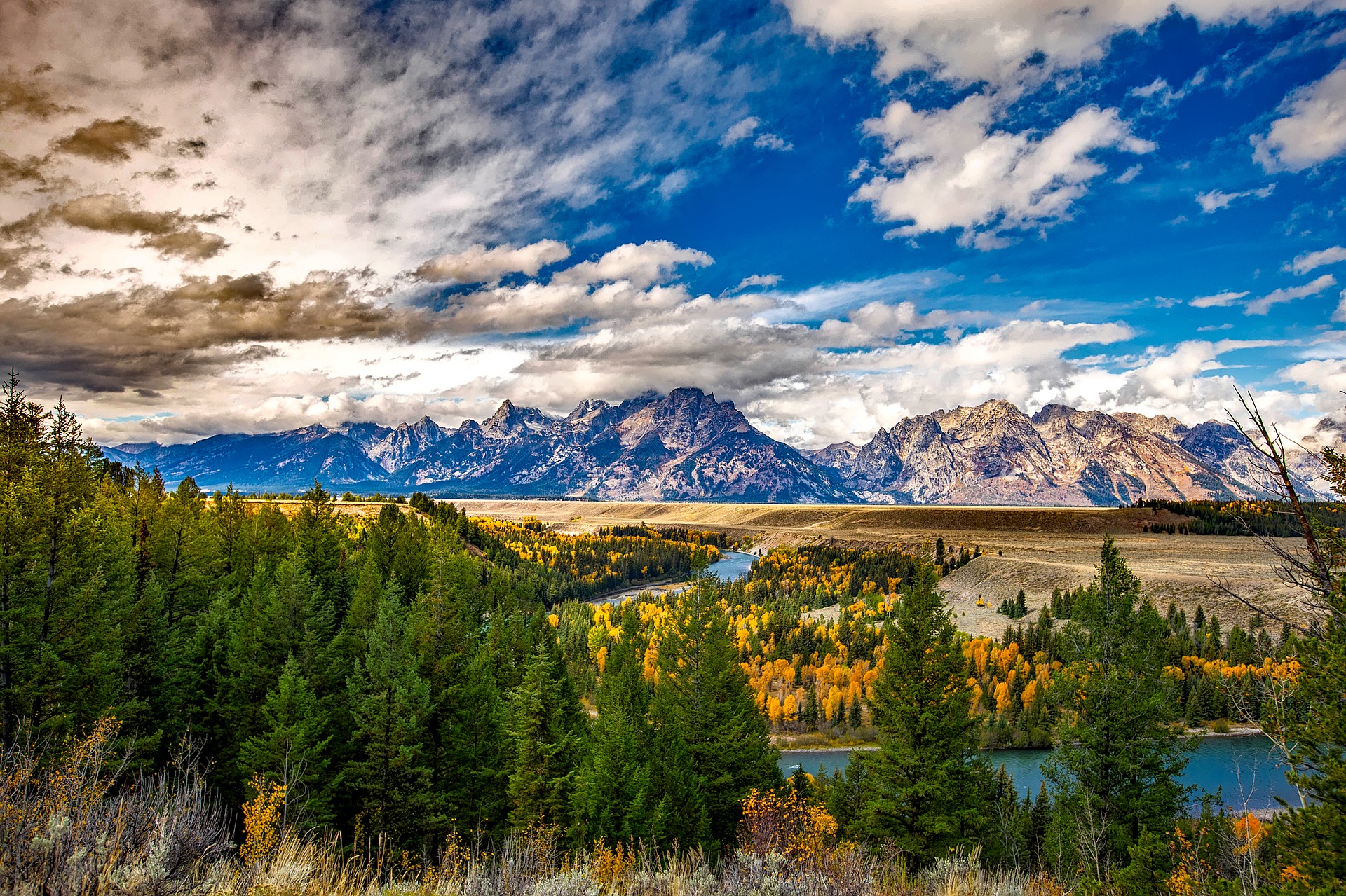 a landscape with trees and mountains