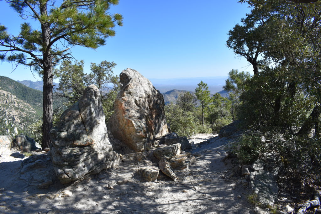 a rocky path with trees and mountains in the background