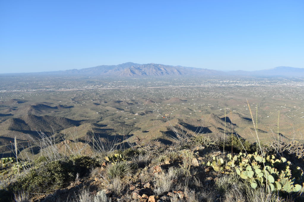 Tucson Hiking Saguaro National Park