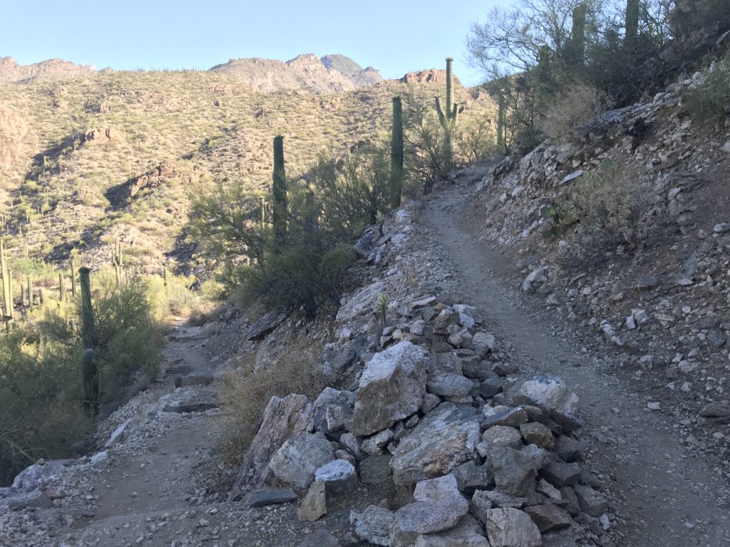 Tucson Hiking