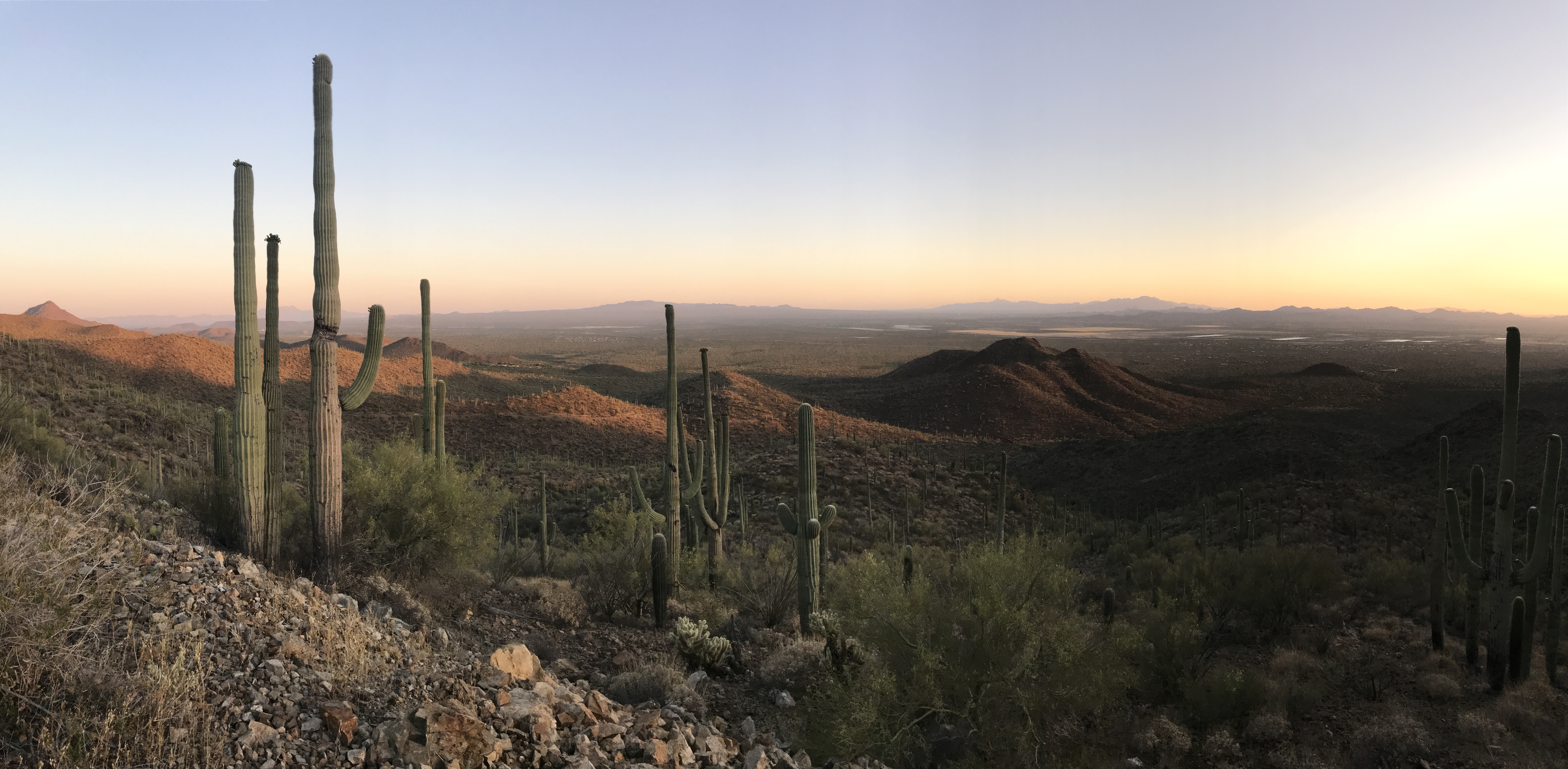 Tucson Hiking in 10 Photos