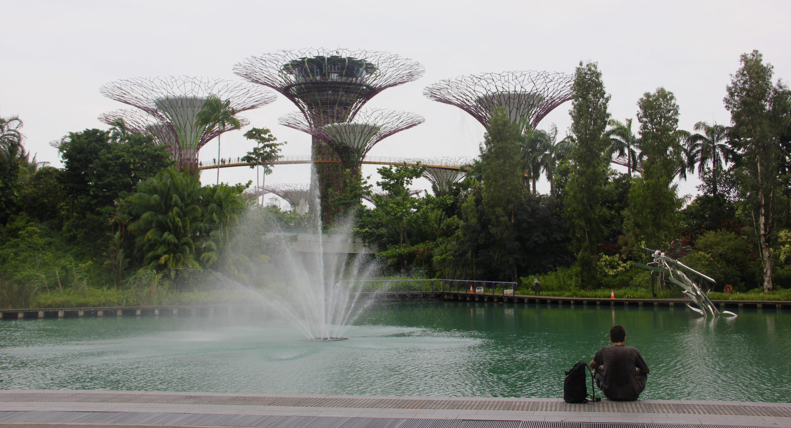 Singapore Fast Lanes