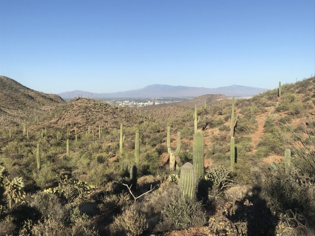 best tucson area hikes