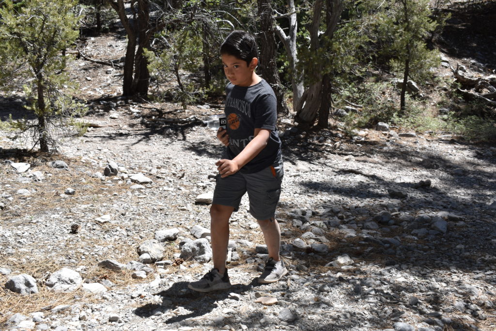 a boy standing on a rocky path