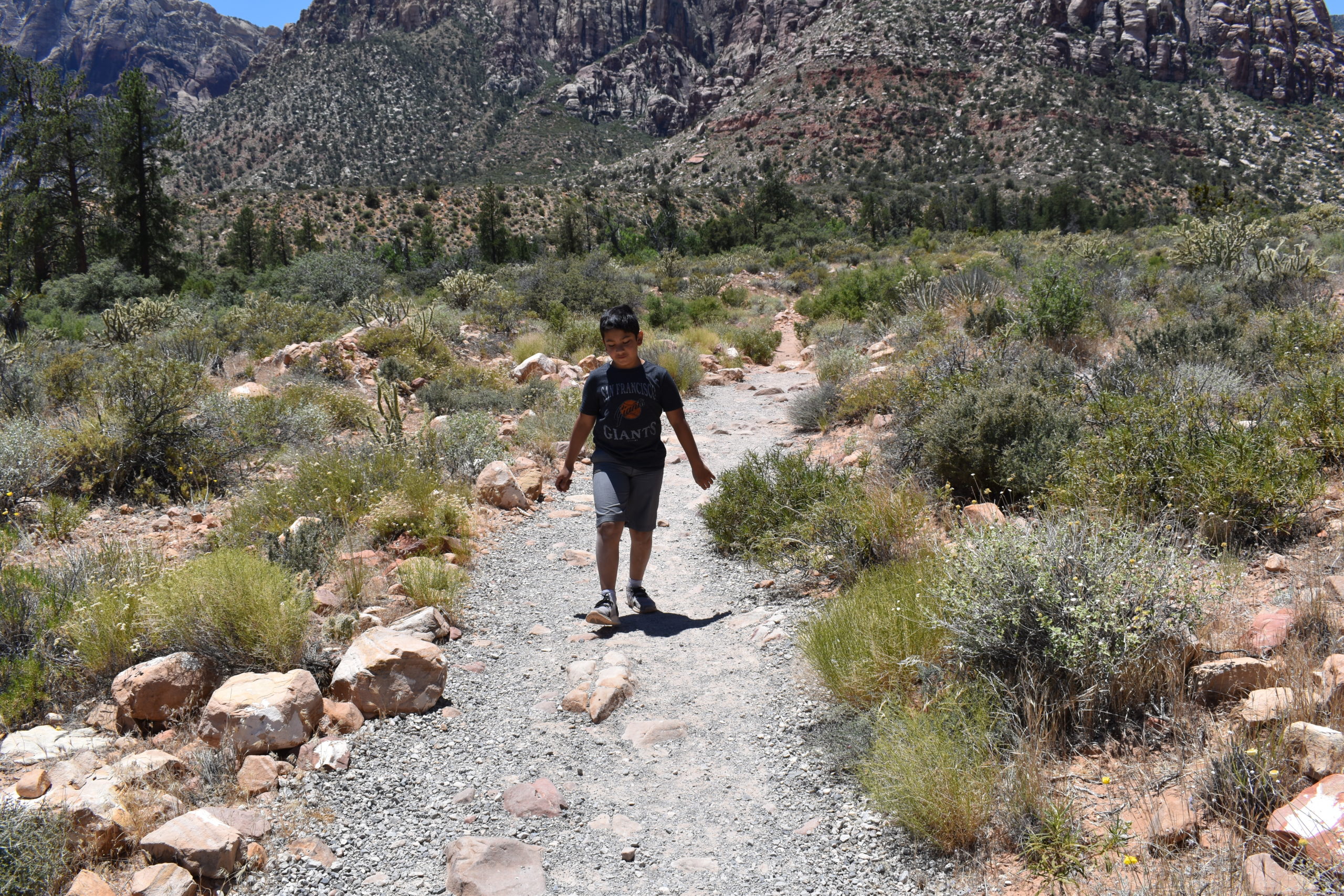 a man walking on a trail