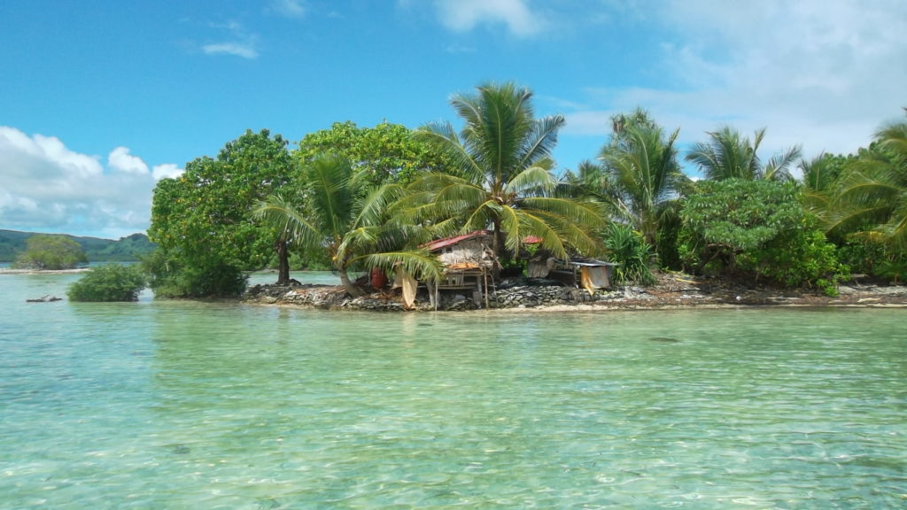 a small island with trees and a hut on the water