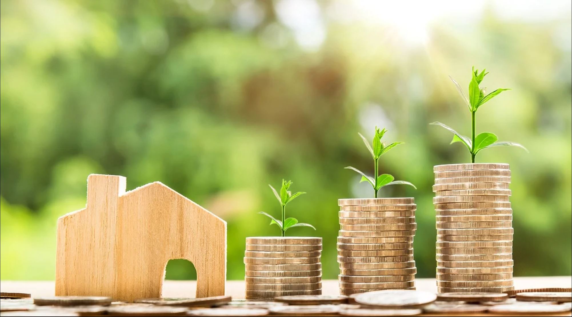 a stack of coins with a small house and a small plant growing on them