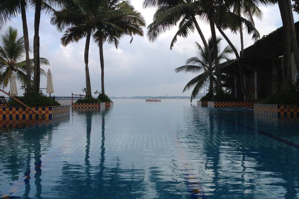 a pool with palm trees and a boat in the water