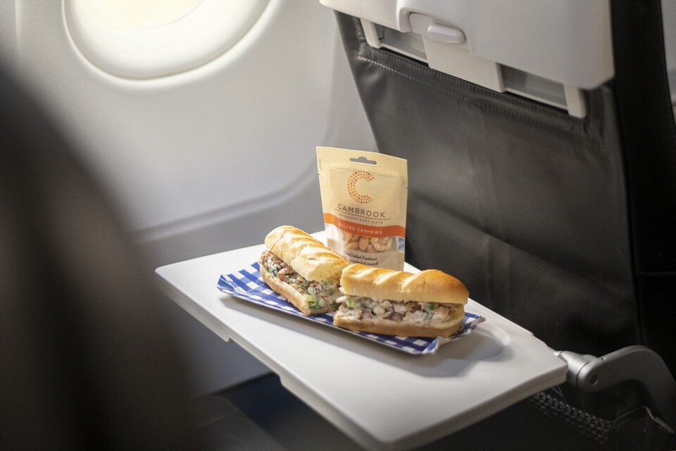 food on a tray on a plane