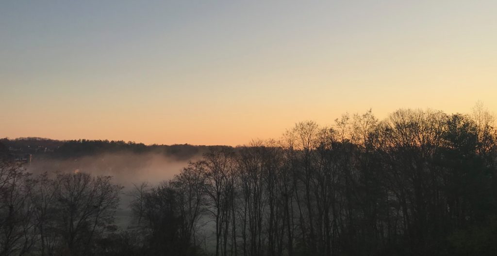 a foggy landscape with trees and a sunset