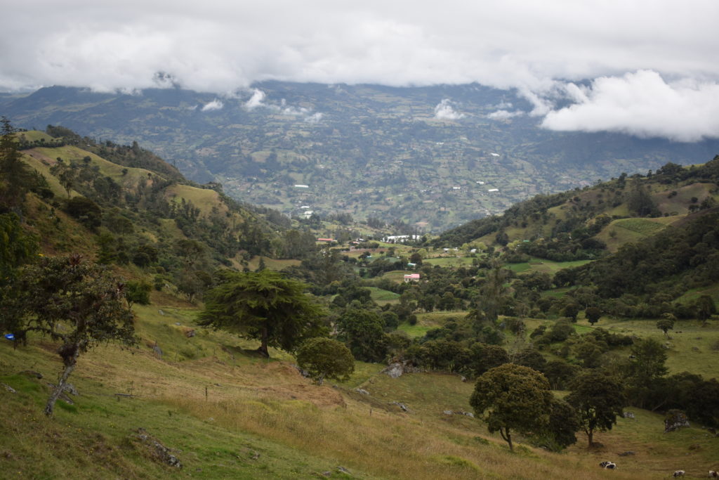 a landscape of a valley with trees and mountains