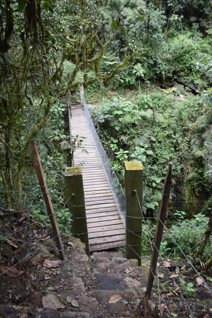 a bridge over a river