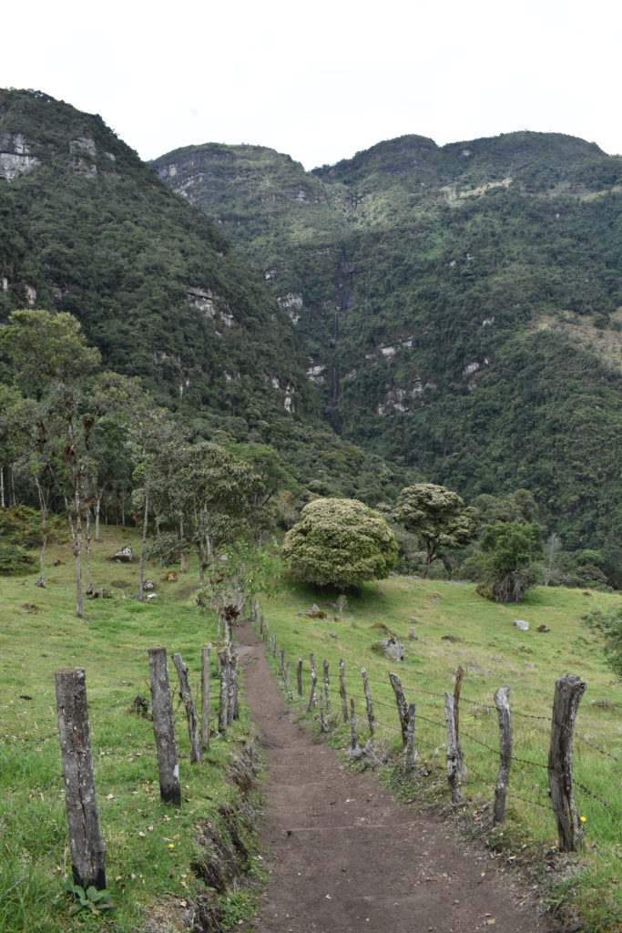 a path in a grassy field with trees and mountains