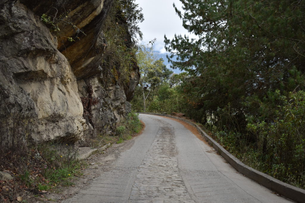 a road with trees and rocks