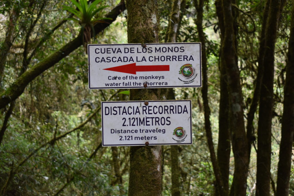 a sign on a tree