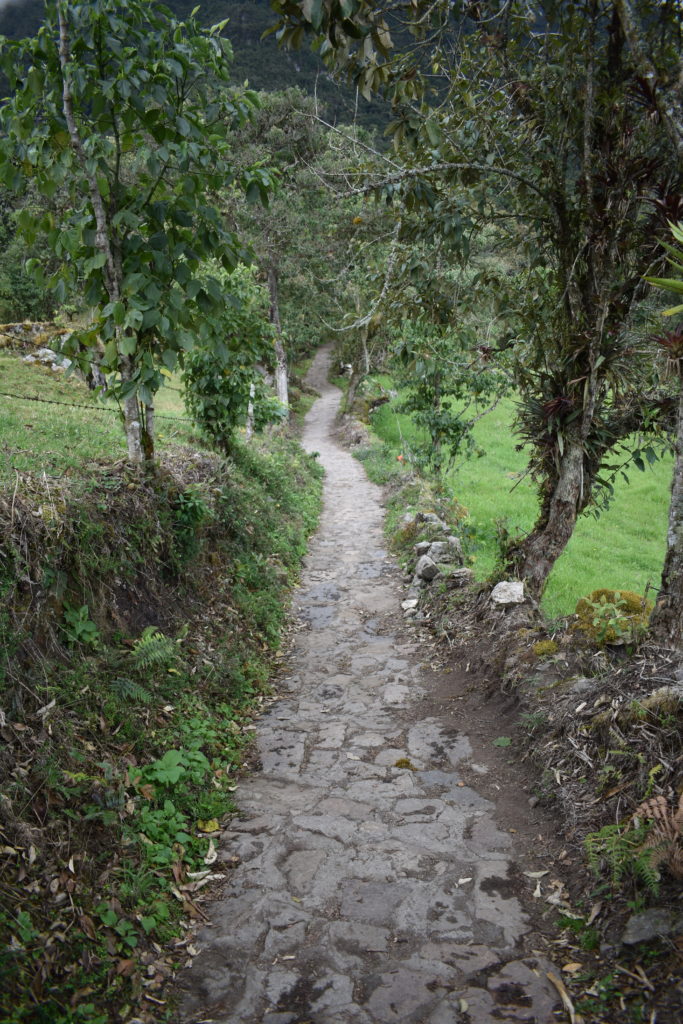 a stone path with trees and grass