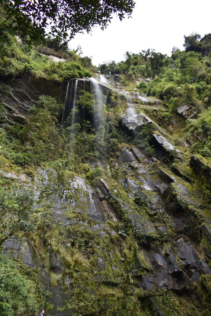 a waterfall in a forest