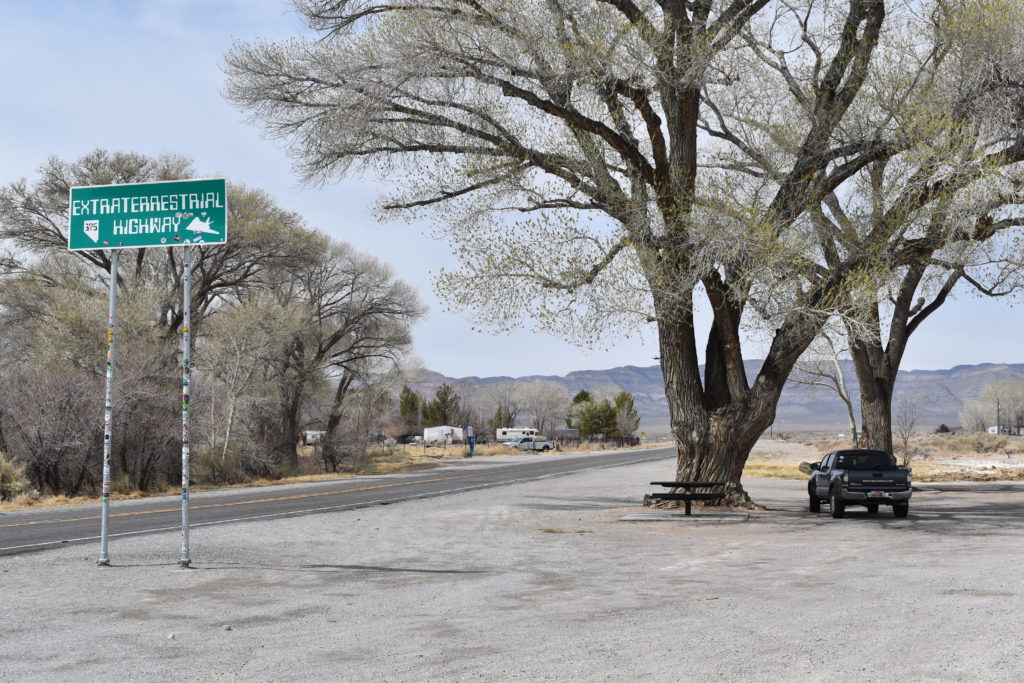 a road with a tree and a sign