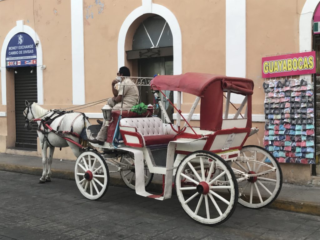 a horse carriage with a person sitting on it