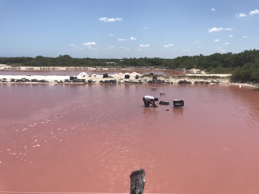 a man in a pink lake