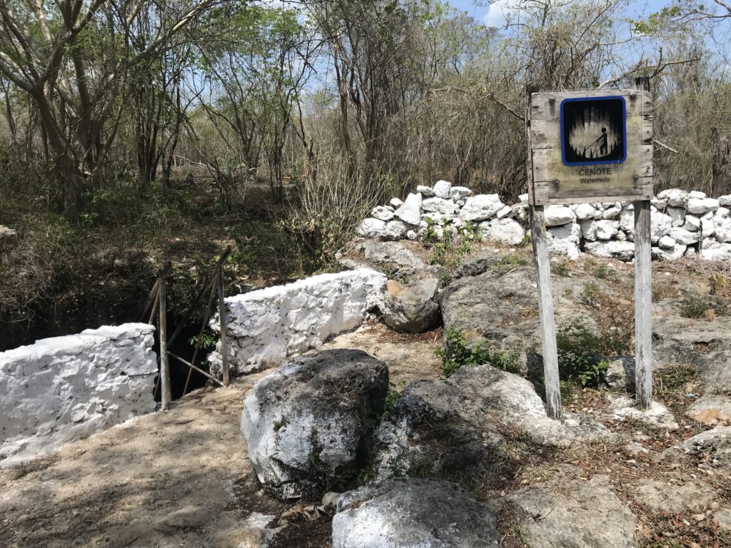 a sign in the woods