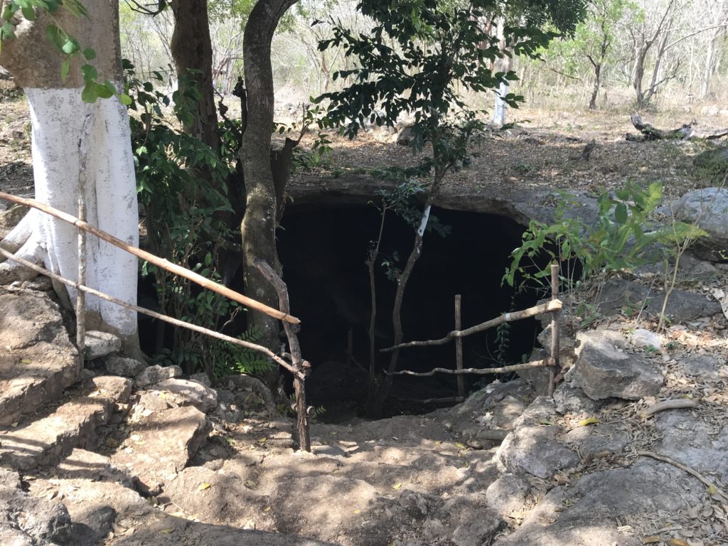 a small cave entrance with a fence and trees