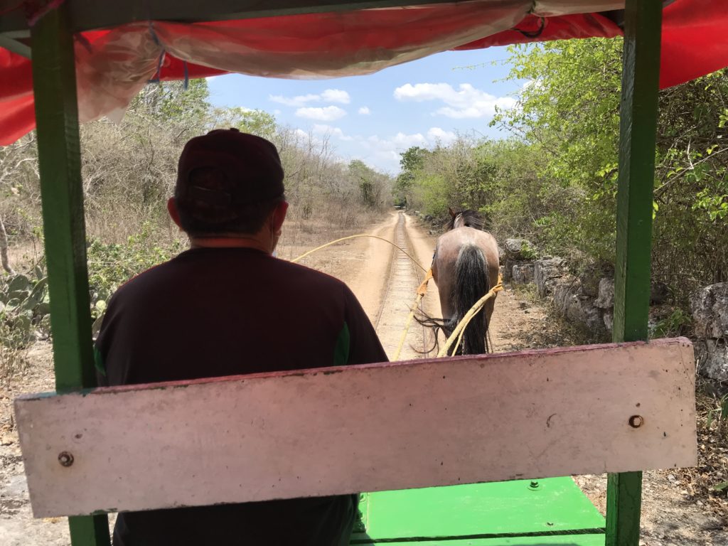 a man sitting on a horse carriage