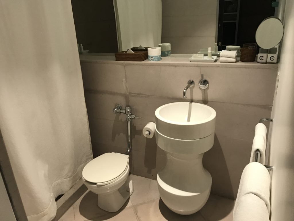a bathroom with a sink and toilet