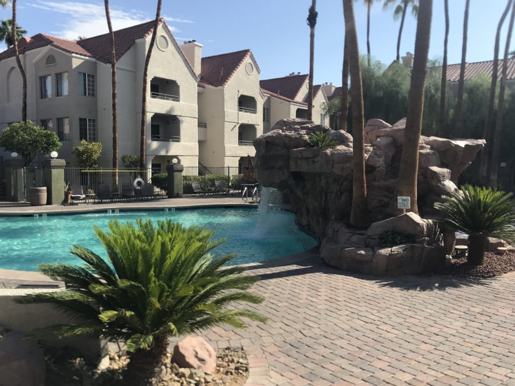 a pool with a waterfall and palm trees