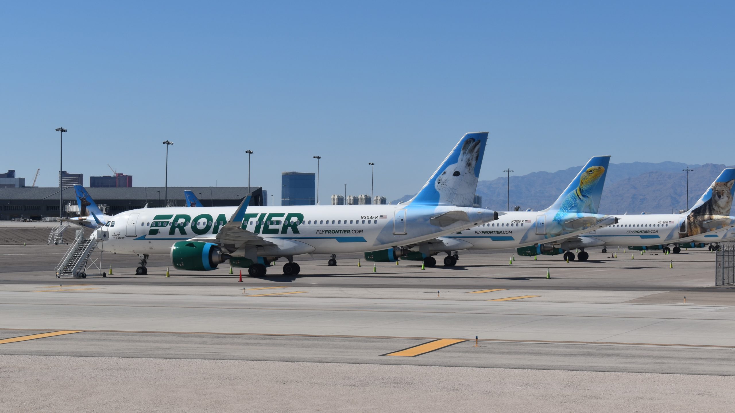 a group of airplanes on a runway