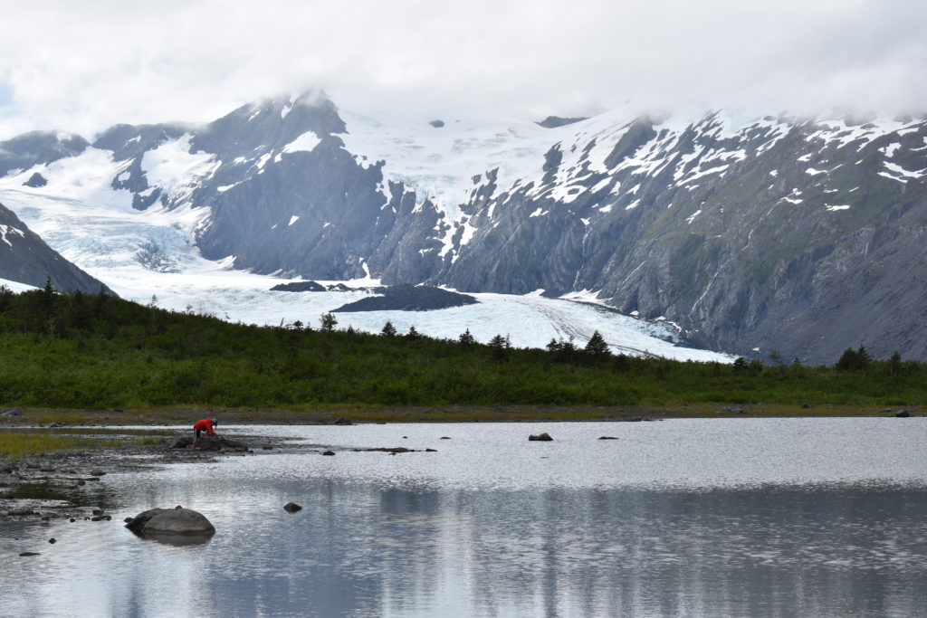 a person in a red shirt by a lake with snow covered mountains