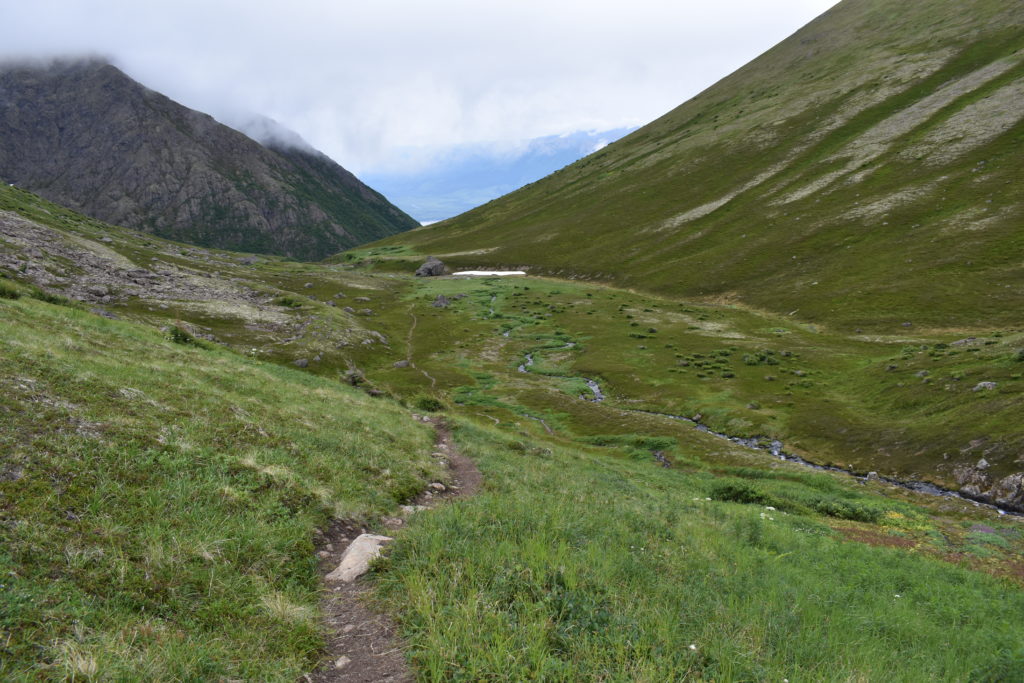 a grassy valley with a stream running through it