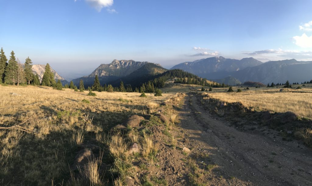 a dirt road through a grassy area with mountains in the background