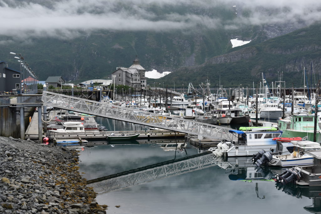 a marina with boats and mountains in the background