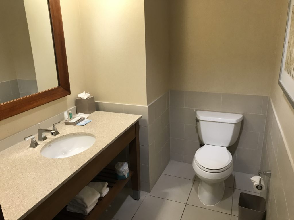 a bathroom with a sink and toilet