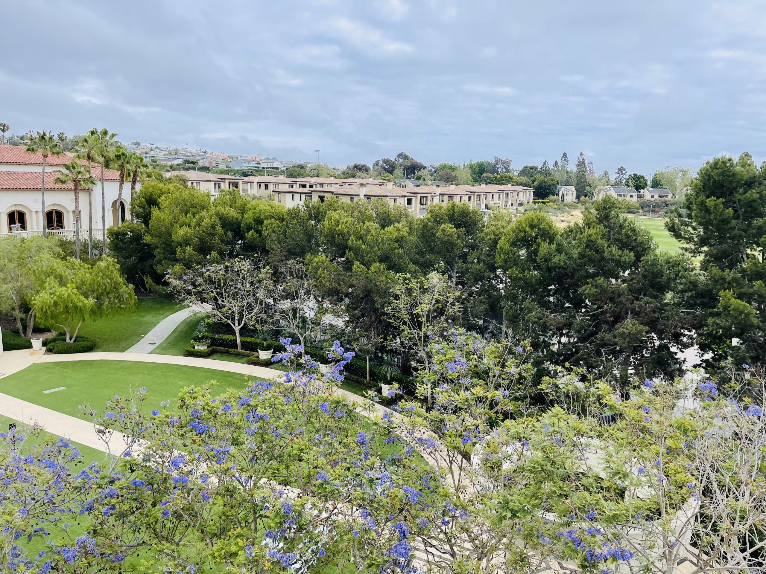 a view of a park with trees and buildings