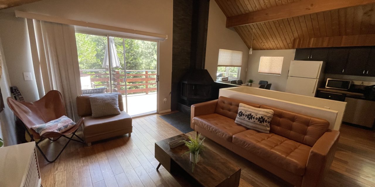Hillside Cabin Review: My First Airbnb Stay