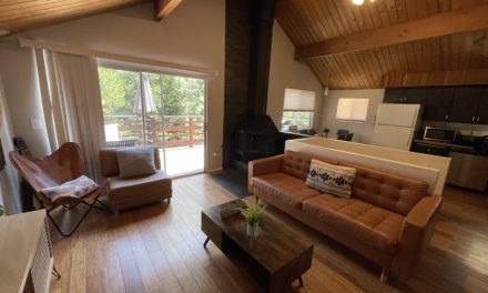 Hillside Cabin Review: My First Airbnb Stay