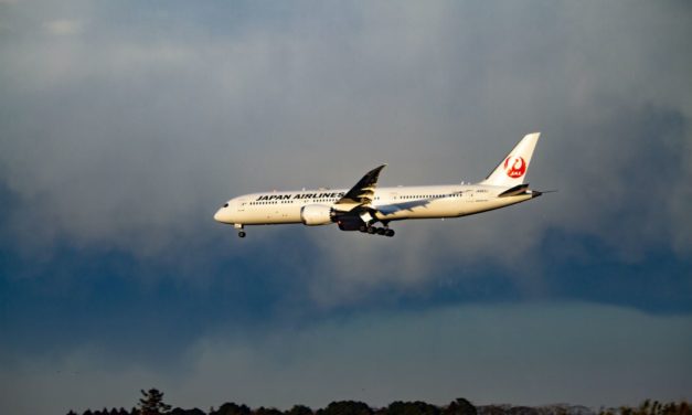 Do you know Japan Airlines put their future flight menus online?