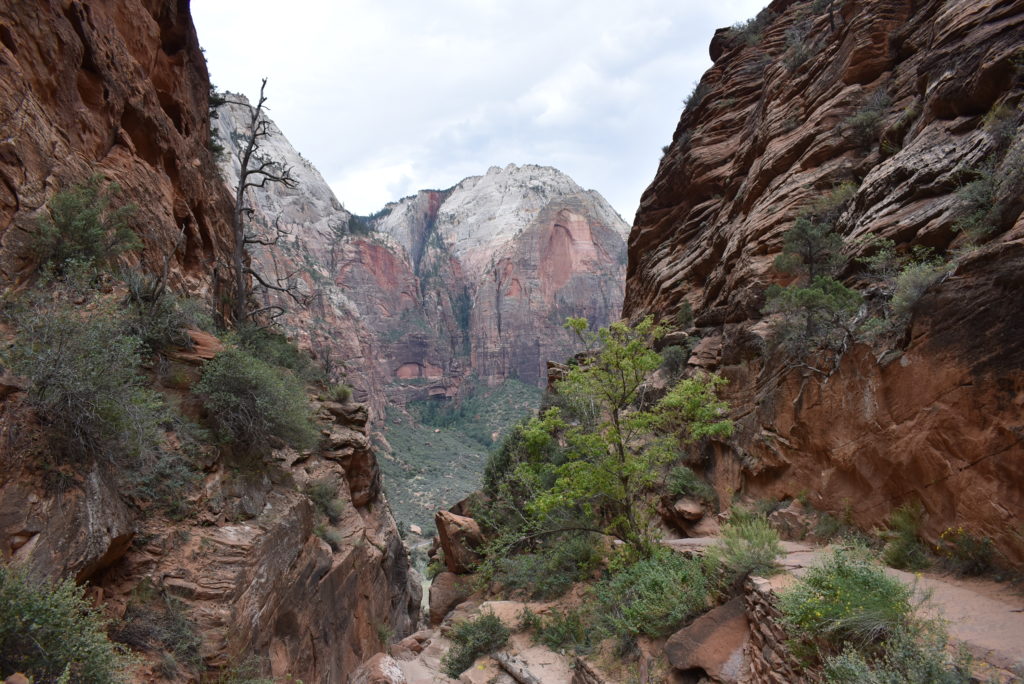 a rocky canyon with trees and mountains with Zion National Park in the background