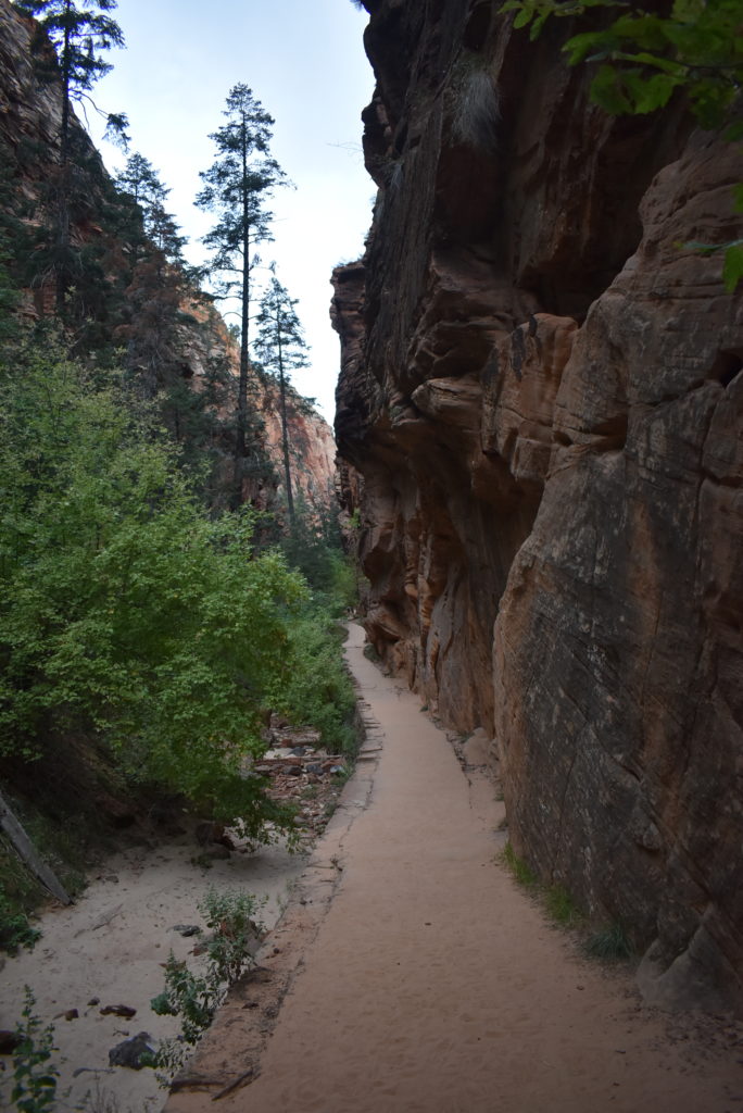 a path between large rocks