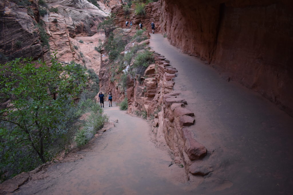 a group of people walking on a trail