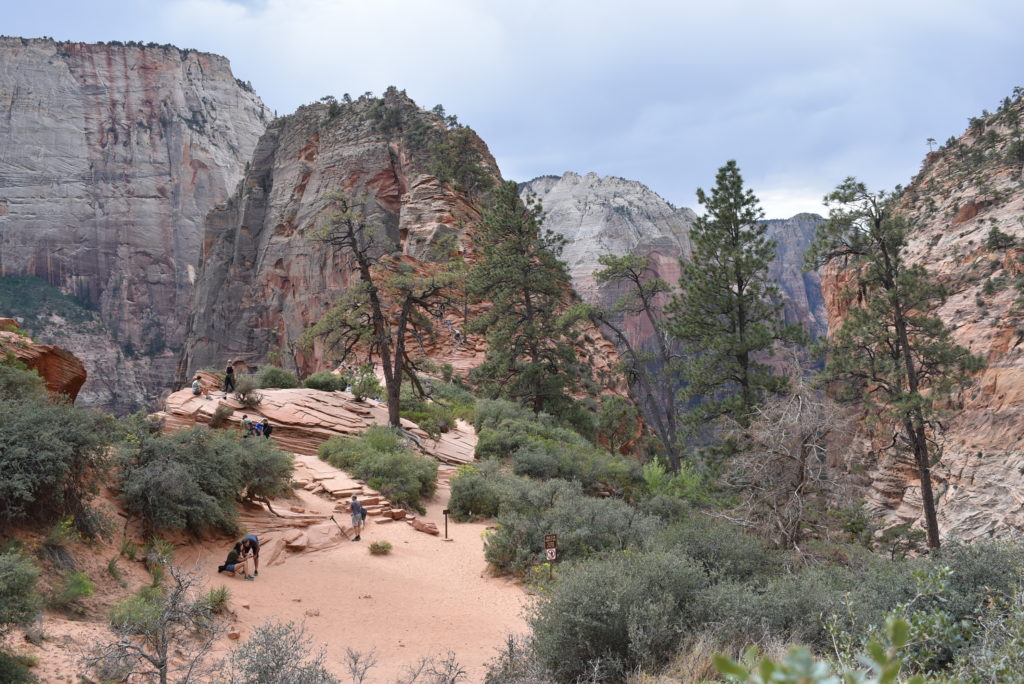 a group of people on a trail in a canyon