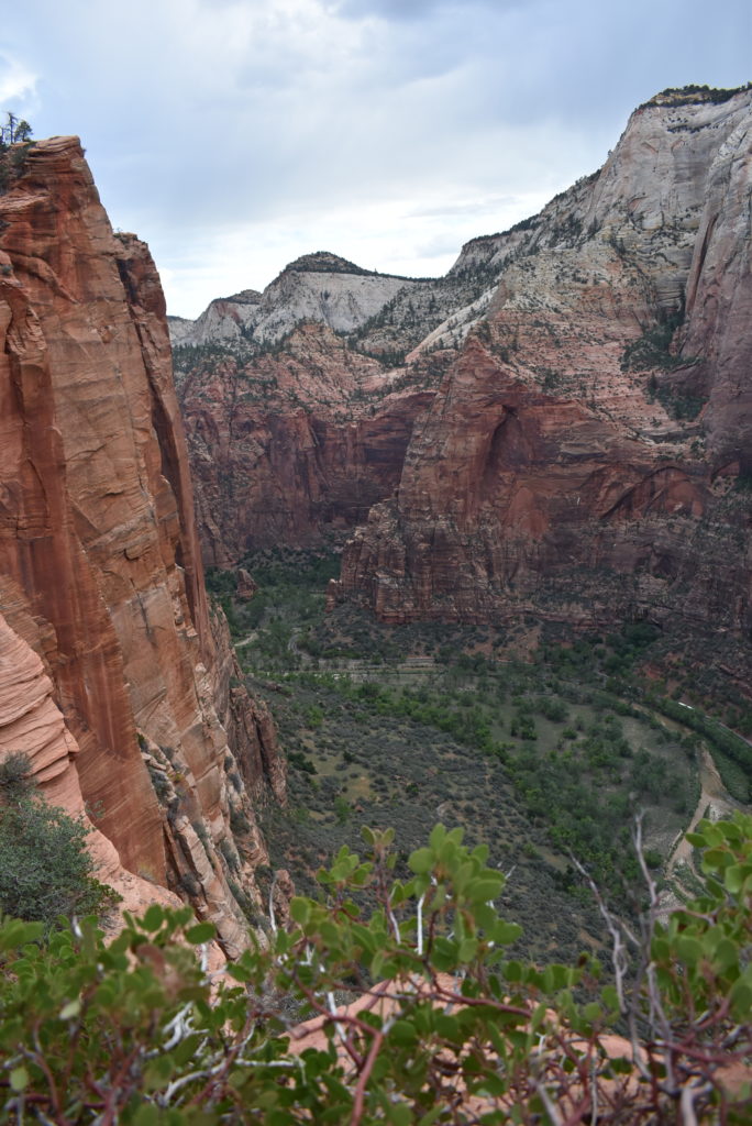 a canyon with trees and a valley