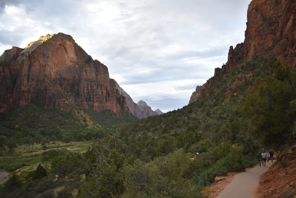 a road leading to a valley with trees