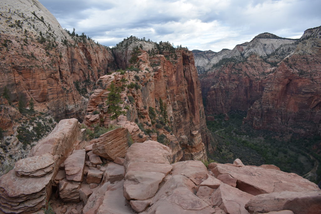 a rocky canyon with trees and mountains