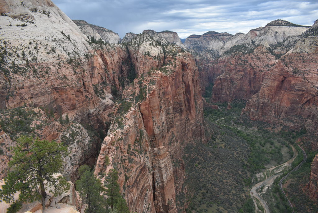 a canyon with trees and a road with Zion National Park in the background