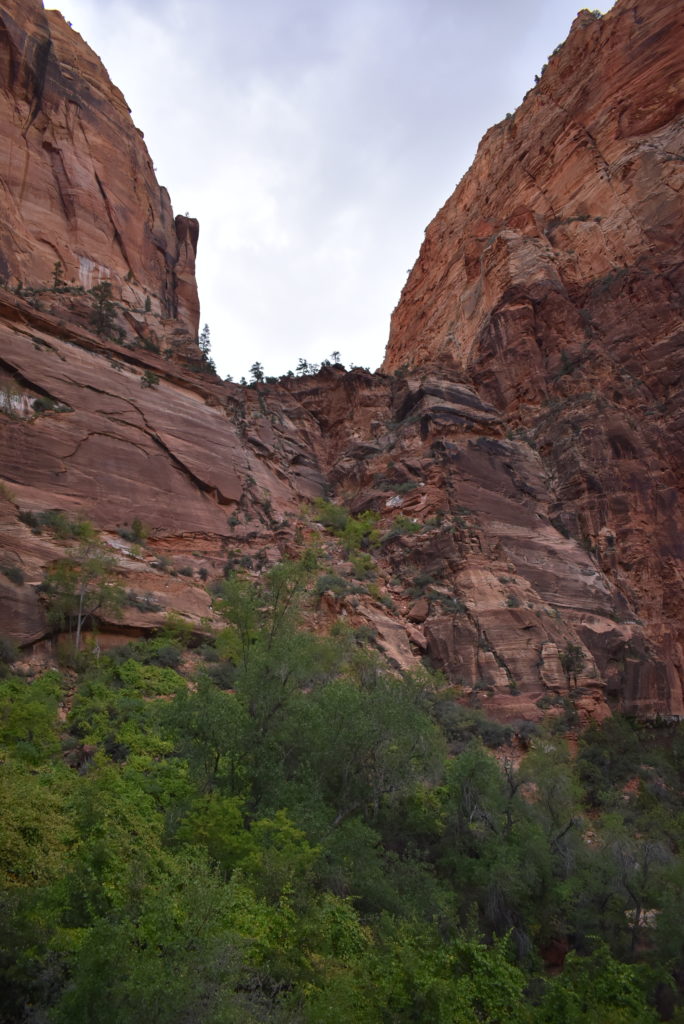 a tall red rock cliff with trees